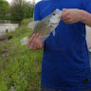 Meet your Posher, Jarrett